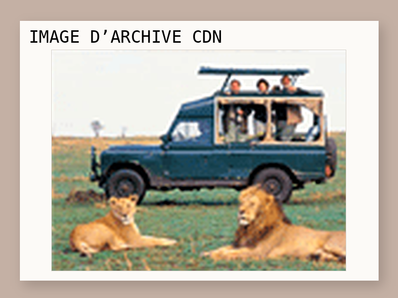 Un safari au Kenya pour 4 personnes avec Microsoft.