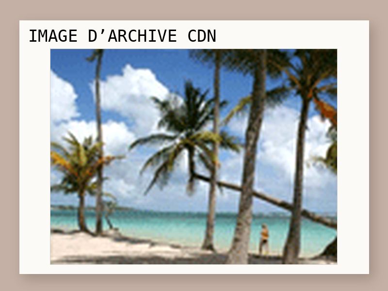 Un voyage à la Guadeloupe de 10 jours gagné avec HipHipHip.